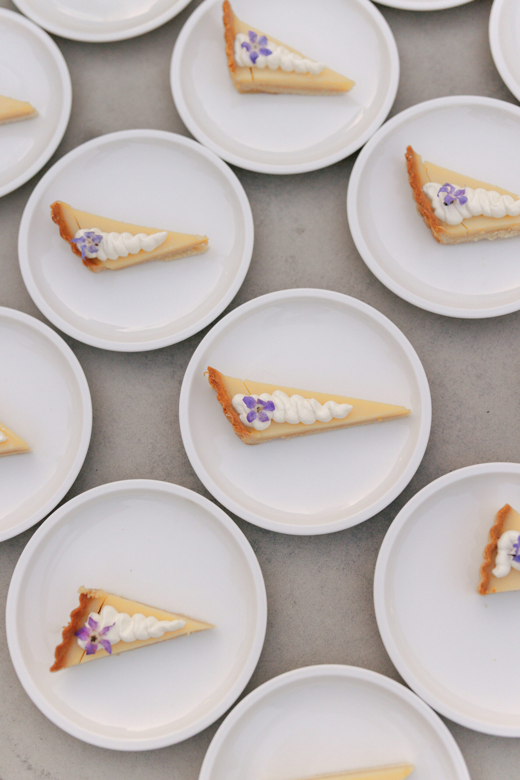 The Curries Photography